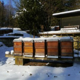 beehives in winter