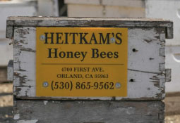Heitkam's Honey Bees sign
