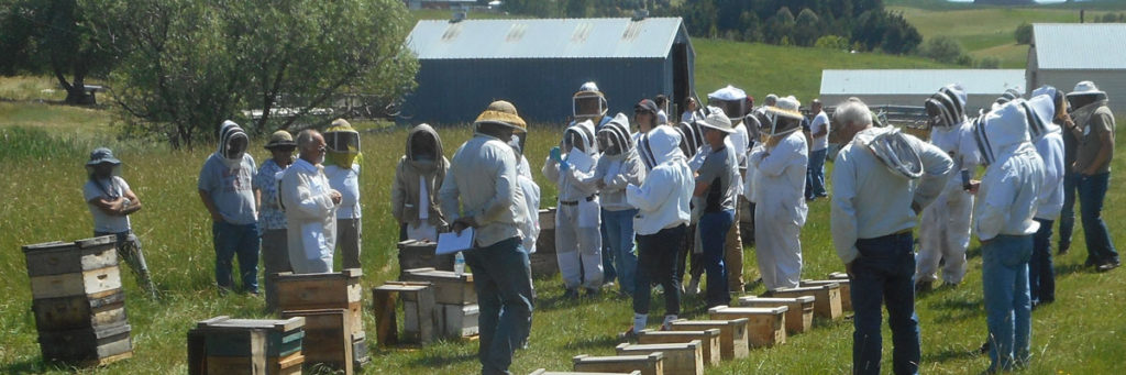 Beekeepers at workshop