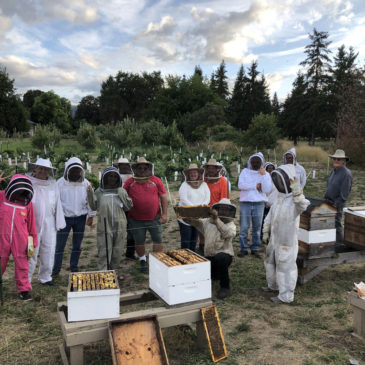 Southern Oregon Beekeepers Association