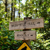 Waxmyrtle Trail Sign