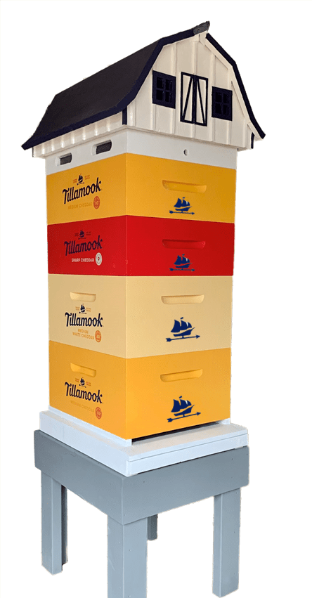 Tillamook Cheese Block Hive