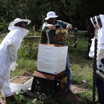 Central Coast Beekeepers Association
