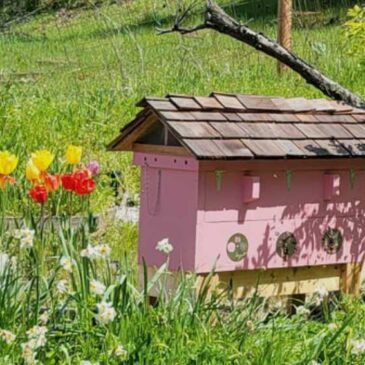 Umpqua Valley Beekeepers Association